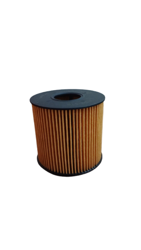 Filtro Oleo Master 2.5 05-09 Wega Woe510 Ecologico - Image 2