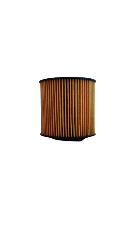 Filtro Oleo Master 2.5 05-09 Wega Woe510 Ecologico - Image 3